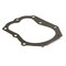 Briggs & Stratton Cylinder Head Gasket 271868S - alternate 1